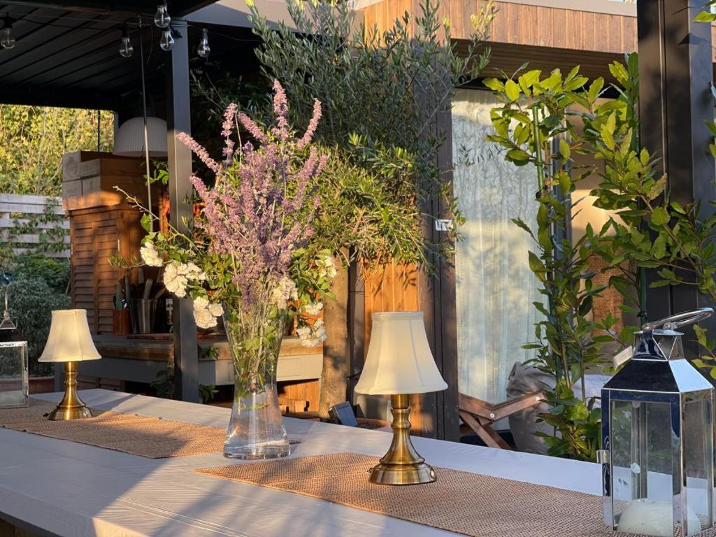 Dragonfly Glamping Spa Retreat Ashford  Esterno foto