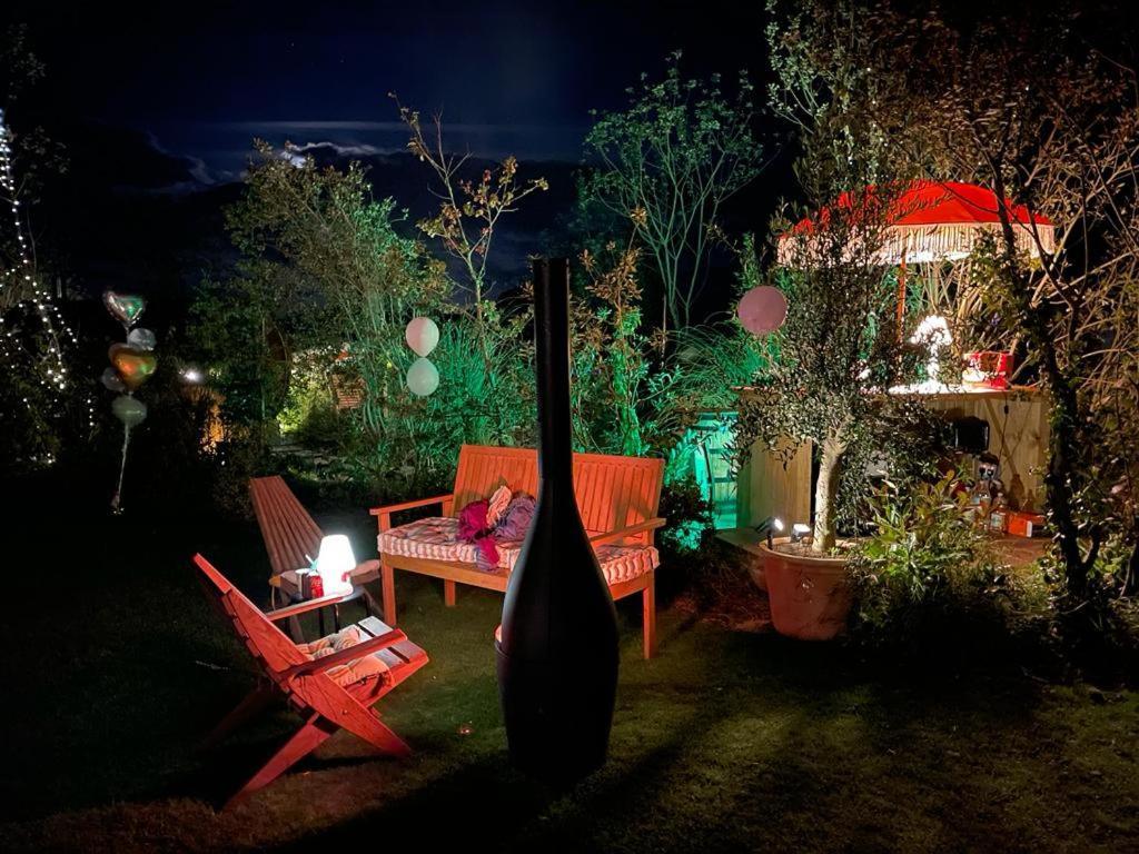 Dragonfly Glamping Spa Retreat Ashford  Esterno foto