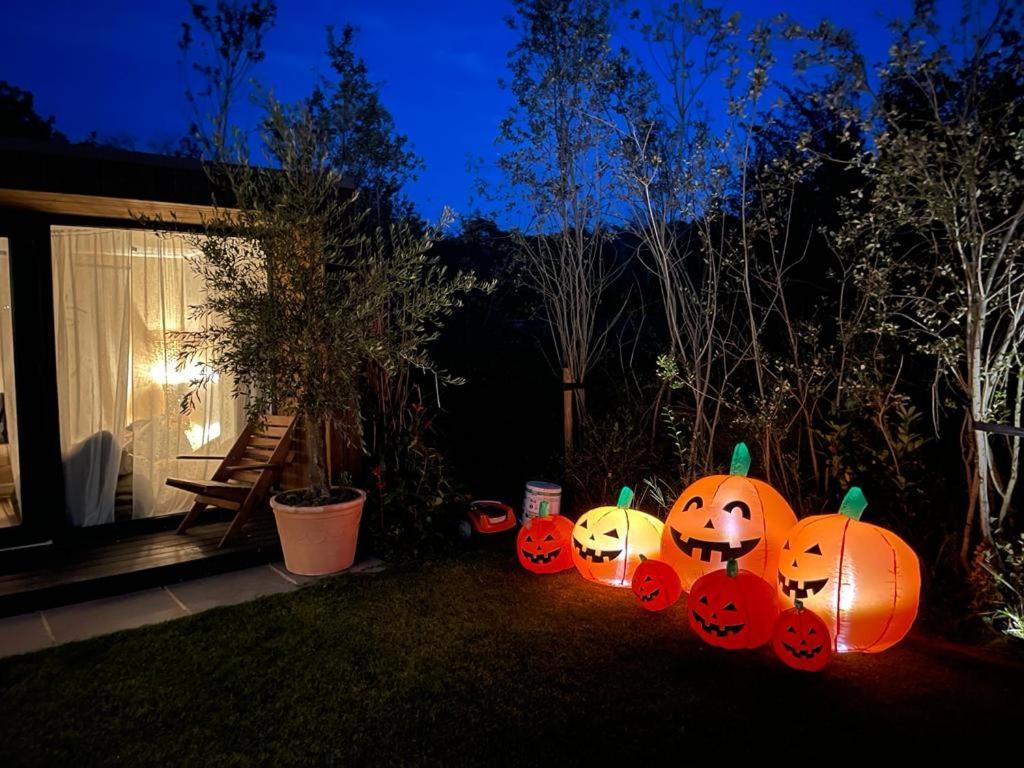 Dragonfly Glamping Spa Retreat Ashford  Esterno foto