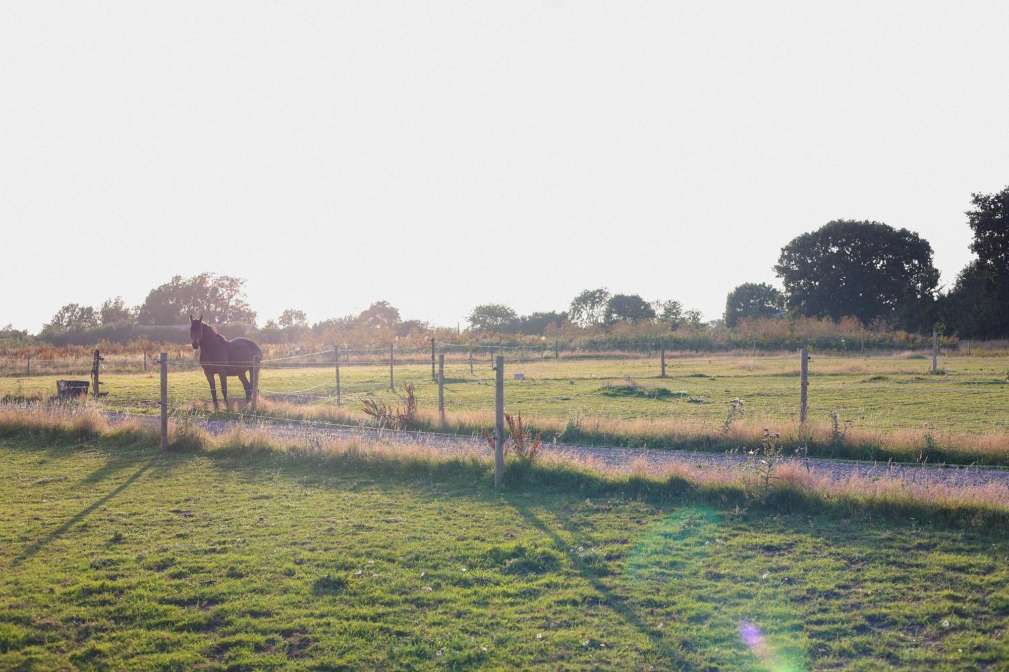 Dragonfly Glamping Spa Retreat Ashford  Esterno foto